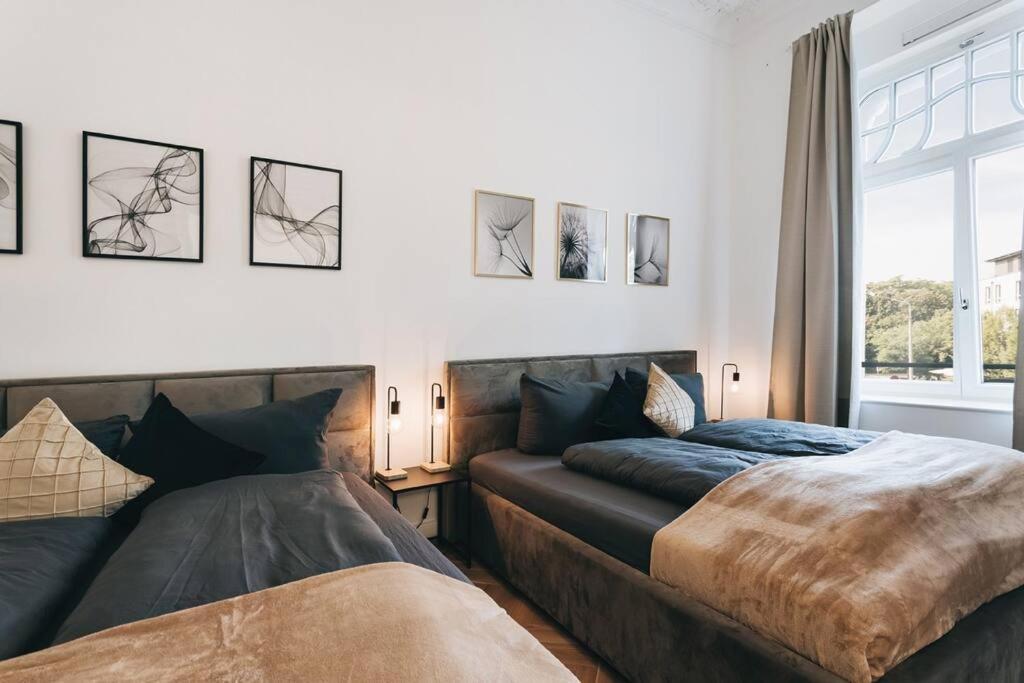Tip! Design-Apartment In Toplage 75Qm In Szeneviertel Dresden Dış mekan fotoğraf